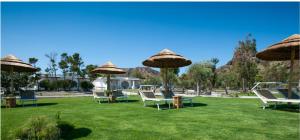 O grădină în afara Mari del Sud Resort