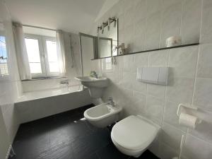 a white bathroom with a toilet and a sink at Fuchs und Elster in Hohenkirchen