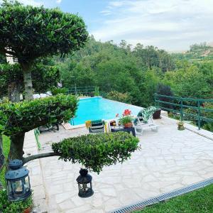 eine Terrasse mit einem Pool und einem Baum in der Unterkunft Quinta Paraíso do Ermal in Vieira do Minho