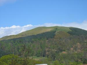 una colina verde con árboles en una montaña en Cragside B&B, en Keswick