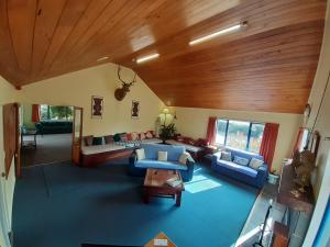 a living room with blue couches and a wooden ceiling at Tongariro River Retreat in Turangi