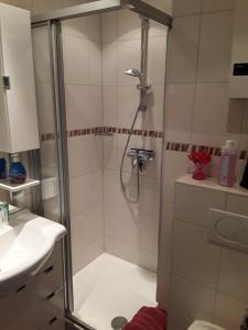 a shower with a glass door in a bathroom at Tanne Altenau in Altenau
