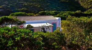 a white house with a red door and trees at Casa Simonetta in Carloforte