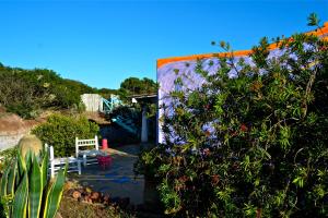 un jardin avec un banc et un bâtiment dans l'établissement Casa Simonetta, à Carloforte