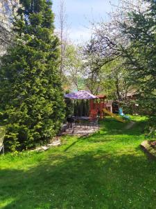 a yard with a table and chairs in the grass at Pokoje gościnne u Zosi Krościenko in Krościenko