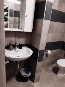 bagno con lavandino e servizi igienici di La Montrucca Camere a Caselle Torinese