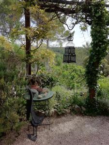 Galeriebild der Unterkunft Chambre d'Hôte Le Mas des Romarins in Les Arcs sur Argens + 21 Fotos
