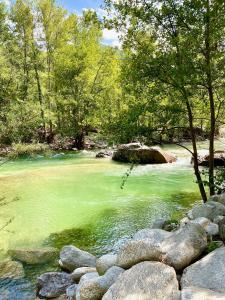 un río con agua verde y algunos árboles y rocas en Appart'Hotel Castel Emeraude, Charme et Caractère, en Amélie-les-Bains-Palalda