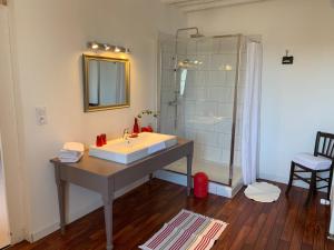 uma casa de banho com um lavatório e um chuveiro em La Colonie - Maison d'Hôtes em Collonges