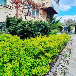 Vonkajšia záhrada v ubytovaní BTHouse, Pokoje Gościnne