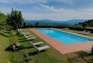 - une grande piscine bordée de chaises longues dans l'établissement Podere Belvedere, à Barberino di Mugello