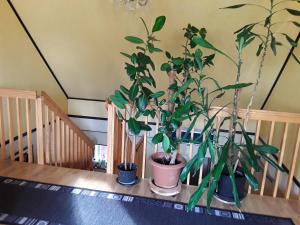 Fotografie z fotogalerie ubytování Naturnära enkel rum B&B i Uppsala Ramstalund v destinaci Uppsala