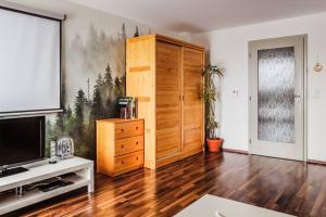 TV a/nebo společenská místnost v ubytování Rodinný apartmán v srdci Šumavy