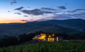 a house on a hill in a field at sunset at Tenuta Cortedomina in Radda in Chianti