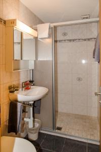 ein Bad mit einem Waschbecken und einer Dusche in der Unterkunft Hotel Reich in Cazis