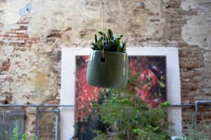 a plant in a pot hanging from a wall at Chez Anna in Iesi +13 photos