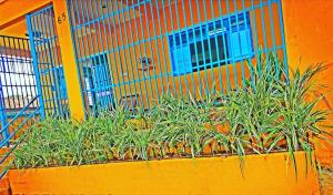 eine orangefarbene Wand mit Pflanzen vor einem Gebäude in der Unterkunft Hotel Ypê in Rio Verde