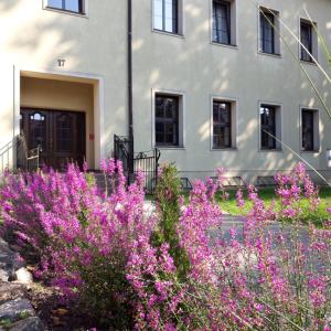 een gebouw met roze bloemen voor een gebouw bij Willa Moryń in Moryń