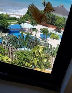 una vista da una finestra di un resort con piscina di Atlántico Flat a Natal