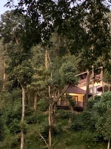 a house on the side of a hill with trees at Serene Woods in Madikeri