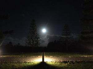 Foto Bois Chéris asuva majutusasutuse Bubble Lodge Bois Chéri Plantation galeriist