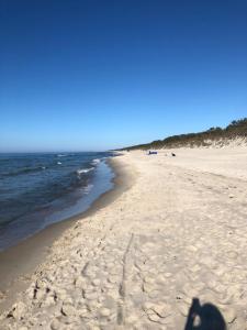 En strand i nærheden af lejligheden