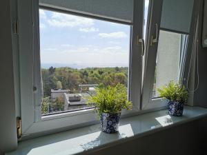 Balkón alebo terasa v ubytovaní Apartament Redłowo