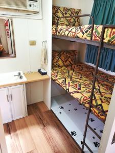 Zimmer mit 2 Etagenbetten und einem Schreibtisch in der Unterkunft Skytrek Willow Springs Station in Flinders Ranges