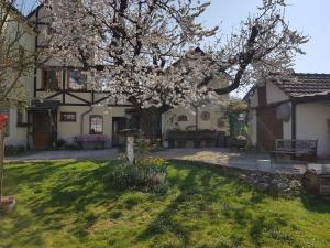 uma casa com uma árvore florida no quintal em Ferienwohnung Zum-alten-Kirschbaum em Limburg an der Lahn