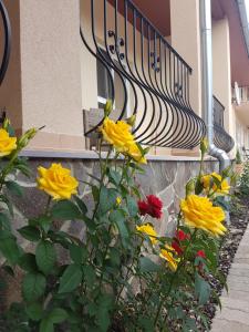 a bunch of yellow flowers in front of a building at Penzión Bernáth in Rožňava