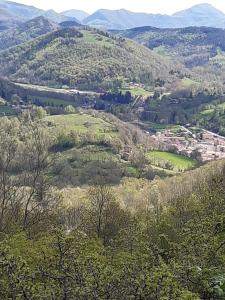 a view of a valley with trees and mountains at Hostal La Placeta in Camprodon +42 photos
