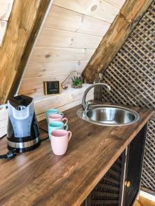 a kitchen counter with a sink in a tiny house at Tuvāk dabai in Aglona