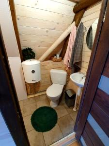een kleine badkamer met een toilet en een wastafel bij Tuvāk dabai in Aglona