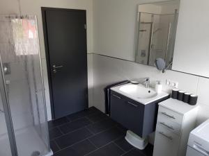 a bathroom with a sink and a toilet and a mirror at Ferienwohnung Seewaldstraße in Schluchsee
