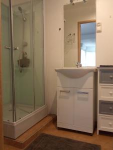 uma casa de banho com um chuveiro, um lavatório e um espelho. em La Collinette em Saint-Laurent-du-Cros