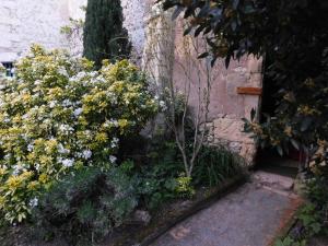 Zahrada ubytování Le Gîte des Marguerites