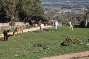 Zdjęcie z galerii obiektu Encanto Rural con Jardín privado y Chimenea w mieście Facinas