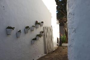 Zdjęcie z galerii obiektu Encanto Rural con Jardín privado y Chimenea w mieście Facinas