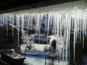 Apartaments La Bonaigua v zime