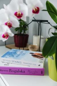 Knihovna v apartmánu + 42 fotografií