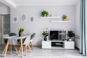 TV a/nebo společenská místnost v ubytování Apartament w centrum 2