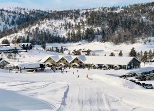 a ski lodge on a snowy mountain with snow covered buildings at Rytterlia 6 in Drangedal