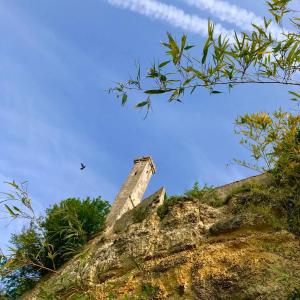 uma torre de pedra no topo de uma colina com árvores em Le Gite de la Loire em Rochecorbon