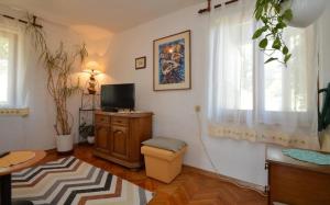 TV a/nebo společenská místnost v ubytování Apartman Dinka