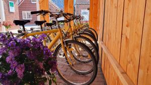 Jízda na kole v ubytování FeWo-Butze 2 mit Terrasse nebo okolí
