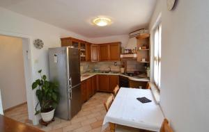 Kuchyň nebo kuchyňský kout v ubytování Apartman Dinka