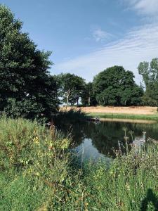 a river with trees and grass and a field at Le Pré Rainette, Chambres d'Hôtes de Charme in Sorrus