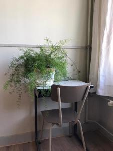 einen Stuhl neben einem Tisch mit Pflanzen darauf. in der Unterkunft B&B de Hoop in Workum