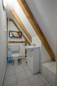 een badkamer met een toilet en een wastafel bij MorzeLas niebieski domek in Białowieża