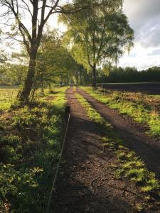 Fotografie z fotogalerie ubytování Bauernhofurlaub bei Familie Bokeloh v destinaci Kirchlinteln